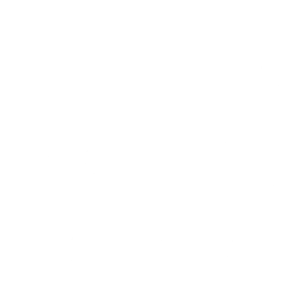 The Planning Review
